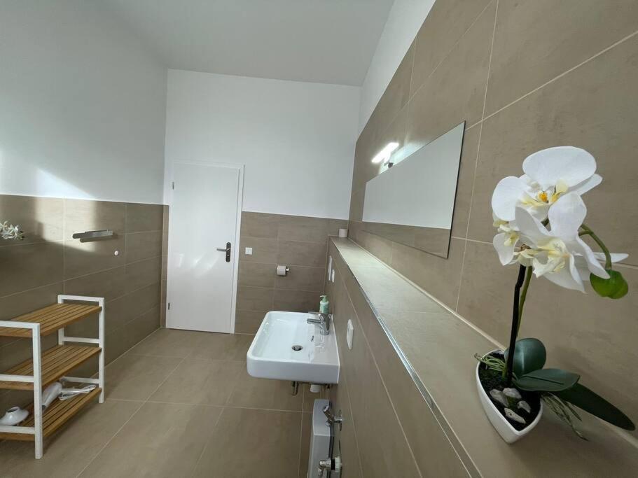 Lucky Stays Ls10 - Vollausstattung - Zentrum - Aufzug - Grosse Kueche - 2 Zimmer - Smart-Tv Magdeburg Kültér fotó